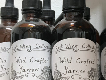 Wild Crafted Yarrow