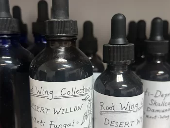 Desert Willow Tincture