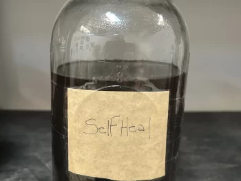 Self Heal tincture