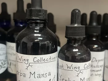 Yerba Mansa Tincture